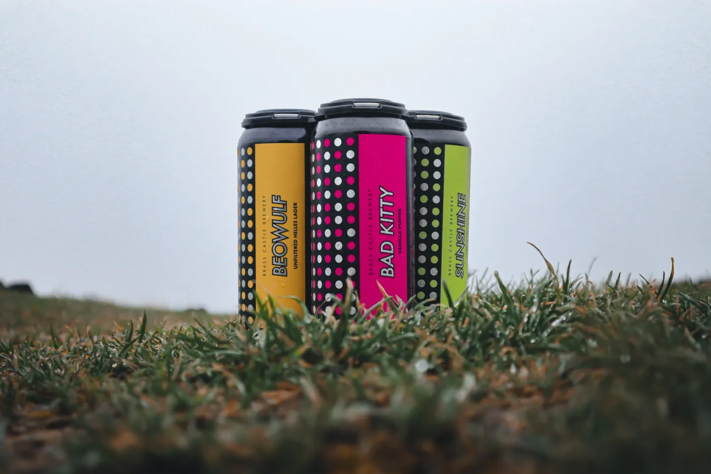 Brass Castle Brewery — fotografia del produttore 2