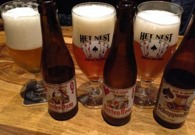 Het Nest — fotografia del produttore 3