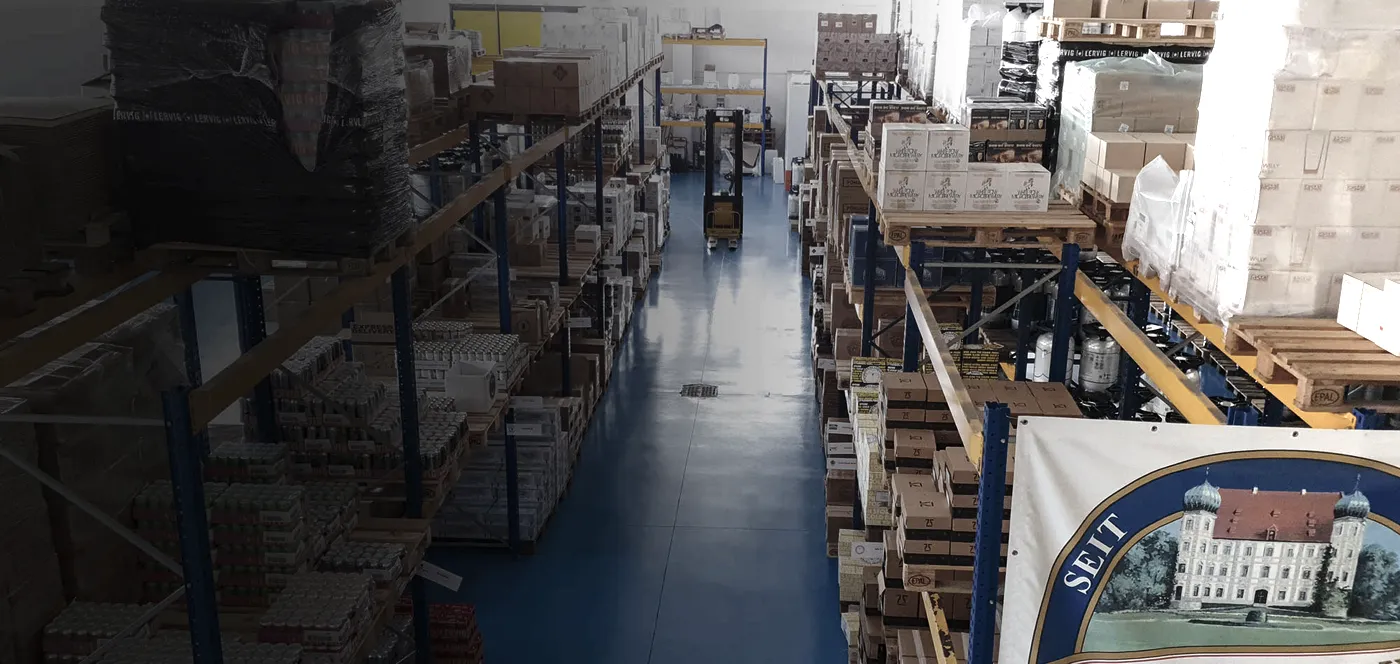 Vista dall’alto delle corsie e dei pallet nel capannone Regalli