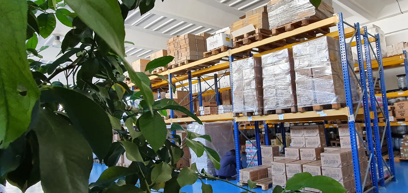 Pallet e scatole sulle scaffalature del magazzino Regalli